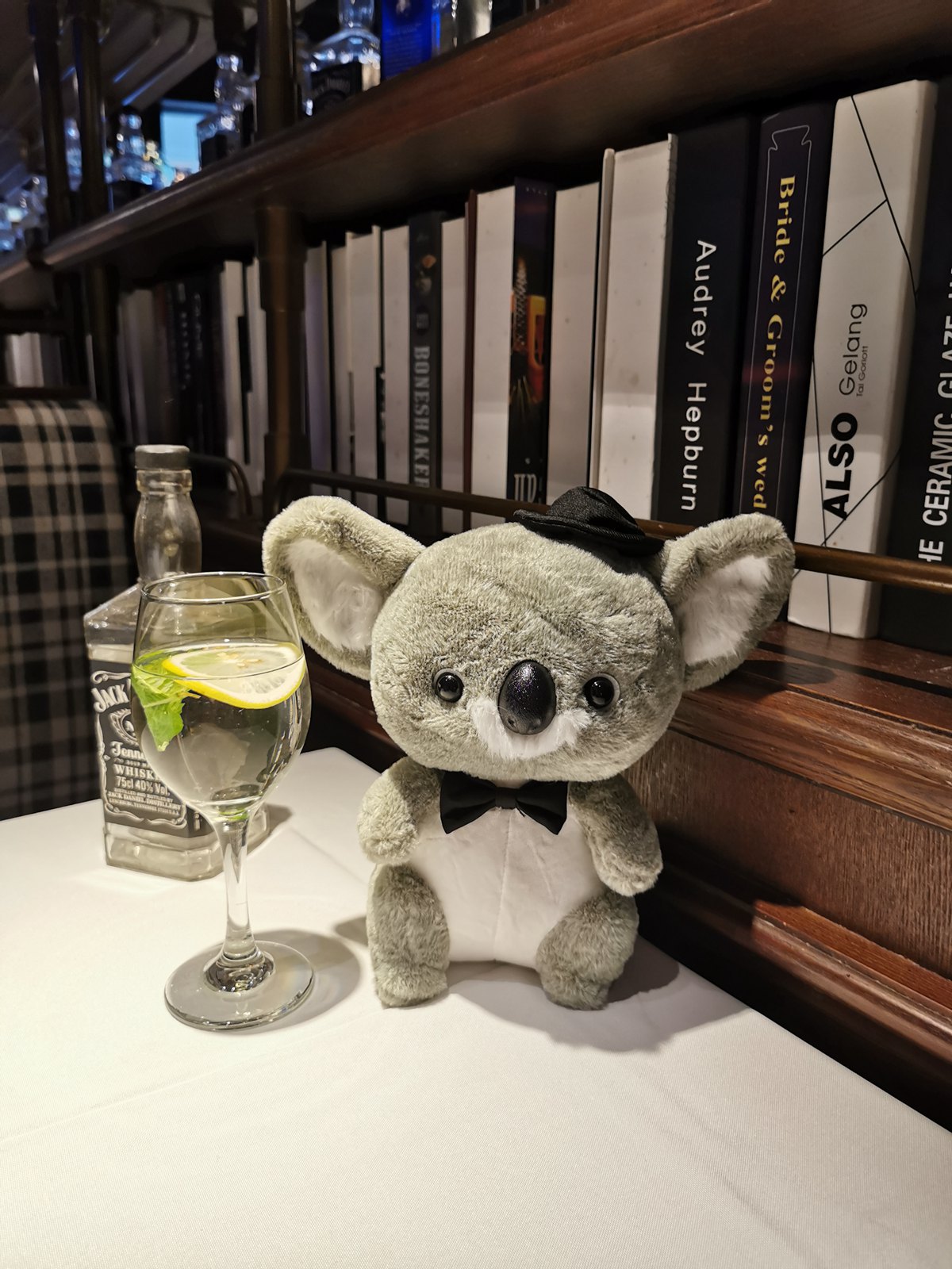 Cozy Koala Plush