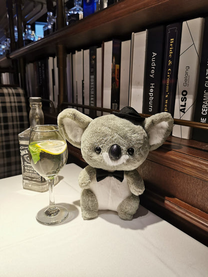 Cozy Koala Plush