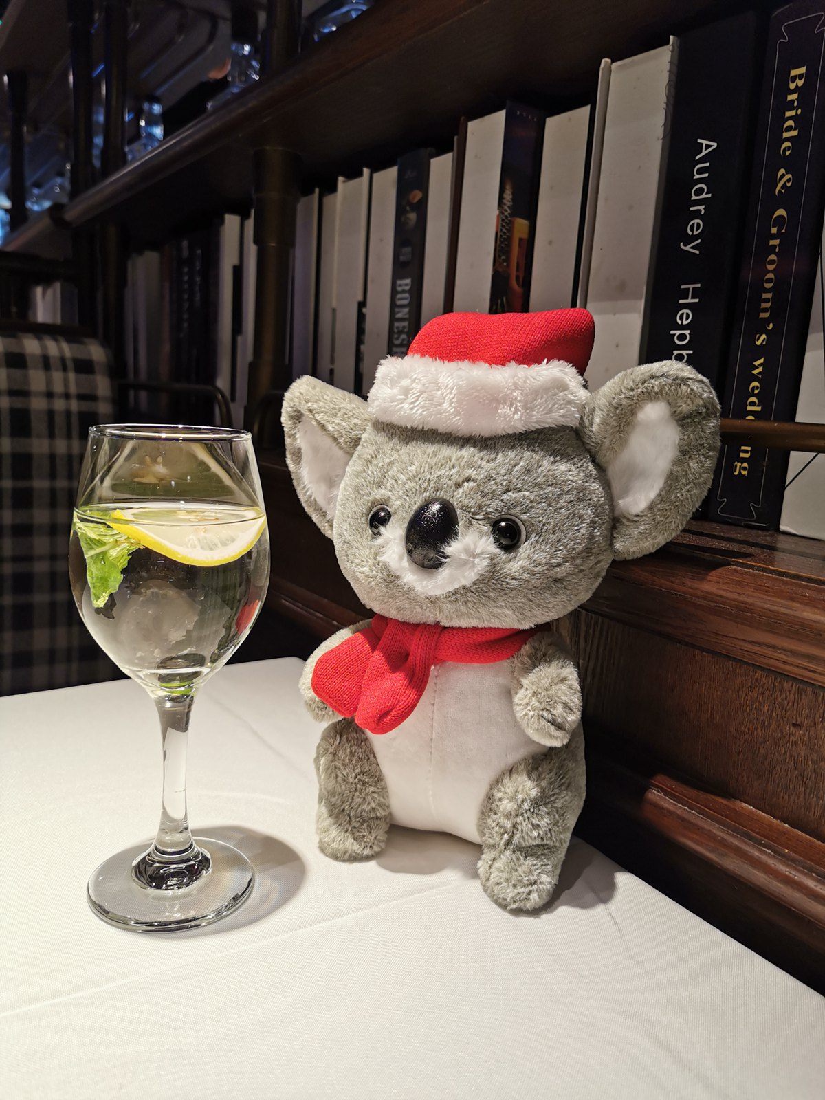 Cozy Koala Plush