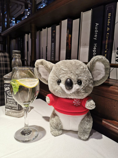 Cozy Koala Plush