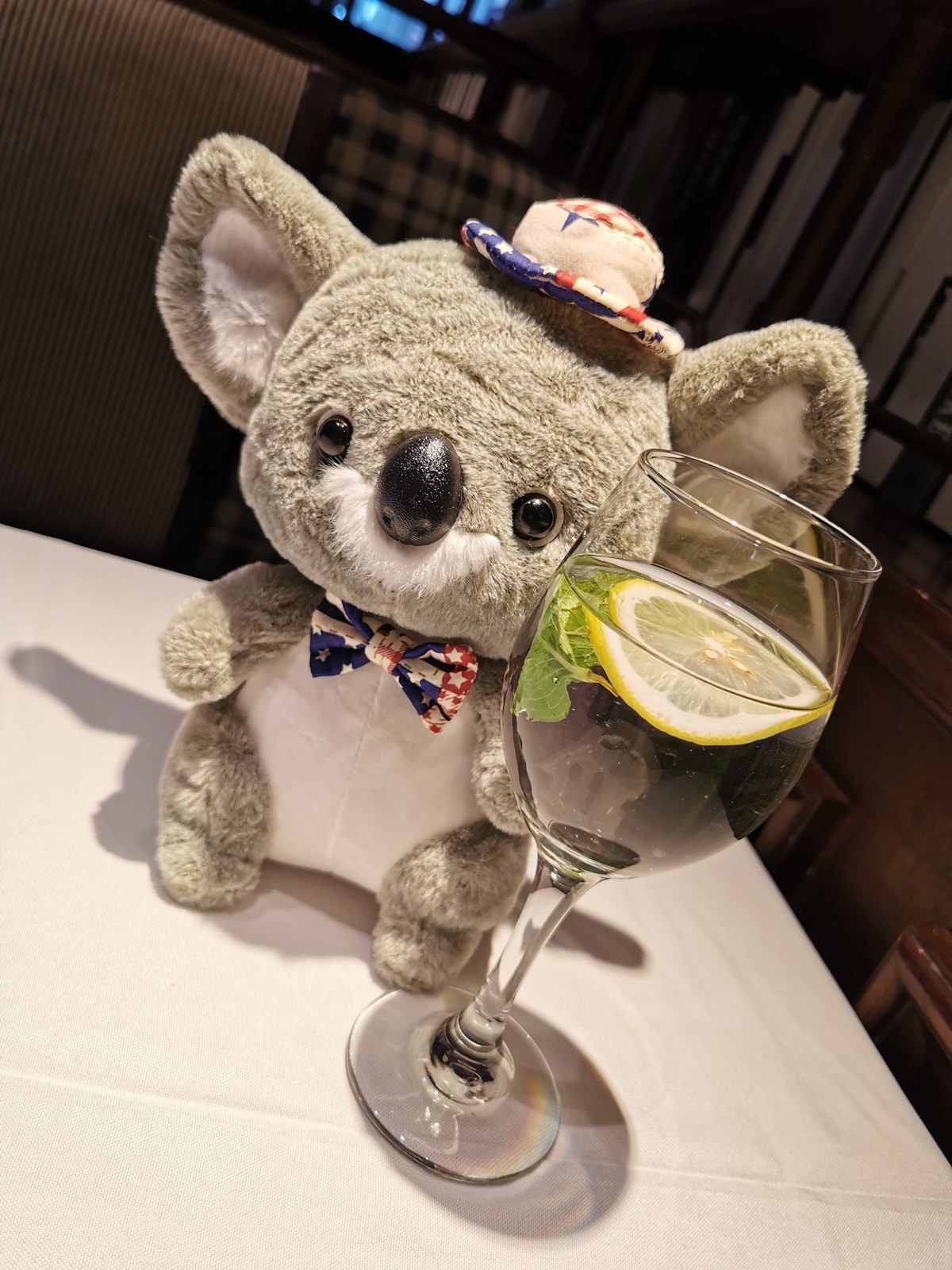 Cozy Koala Plush