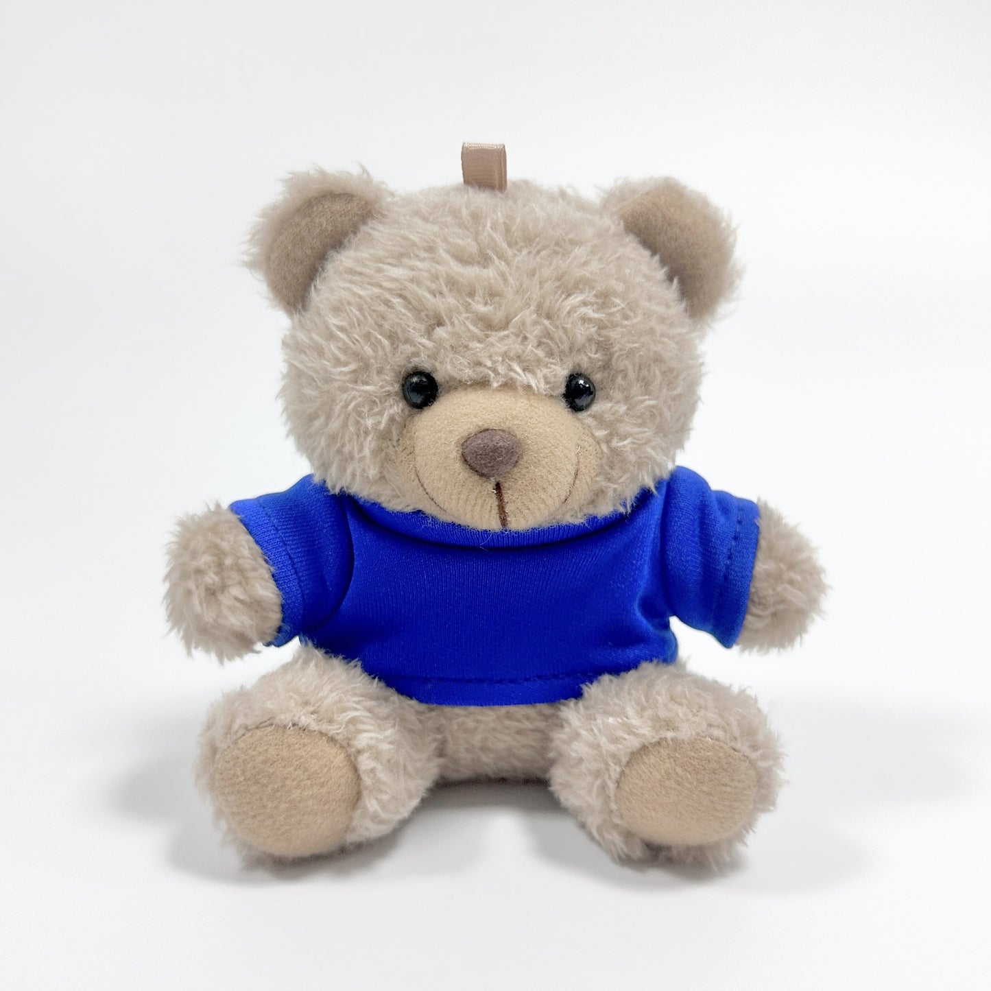 Tiny Teddy Charm