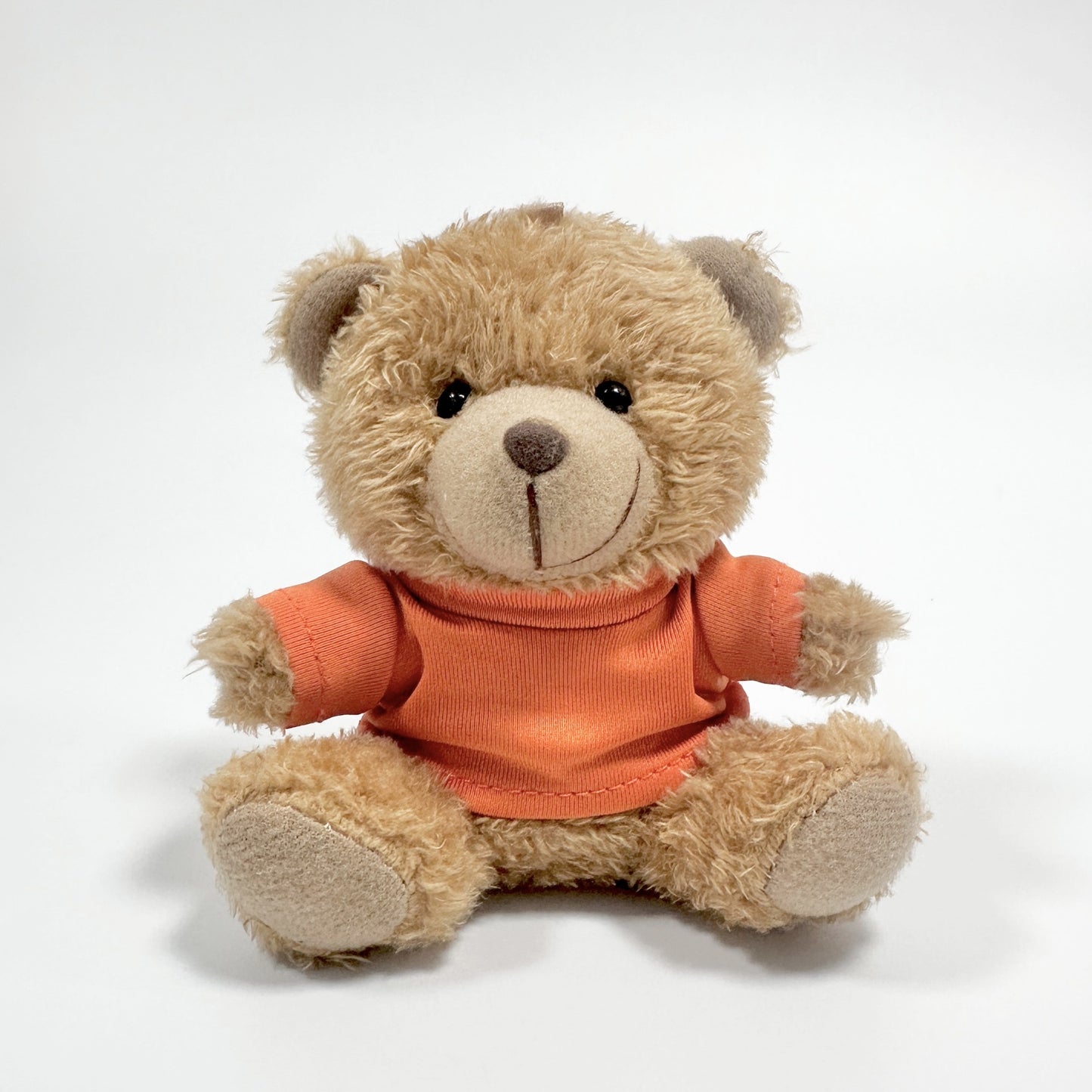 Tiny Teddy Charm