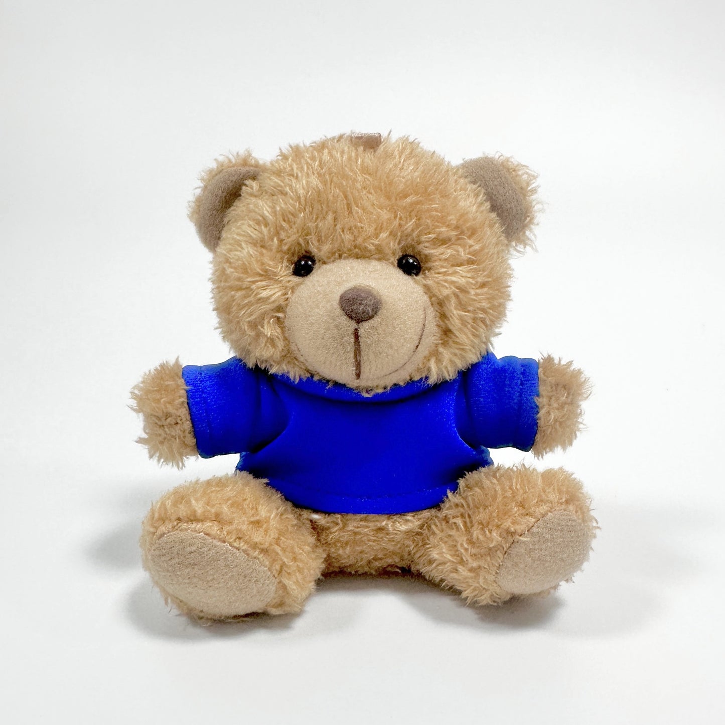Tiny Teddy Charm