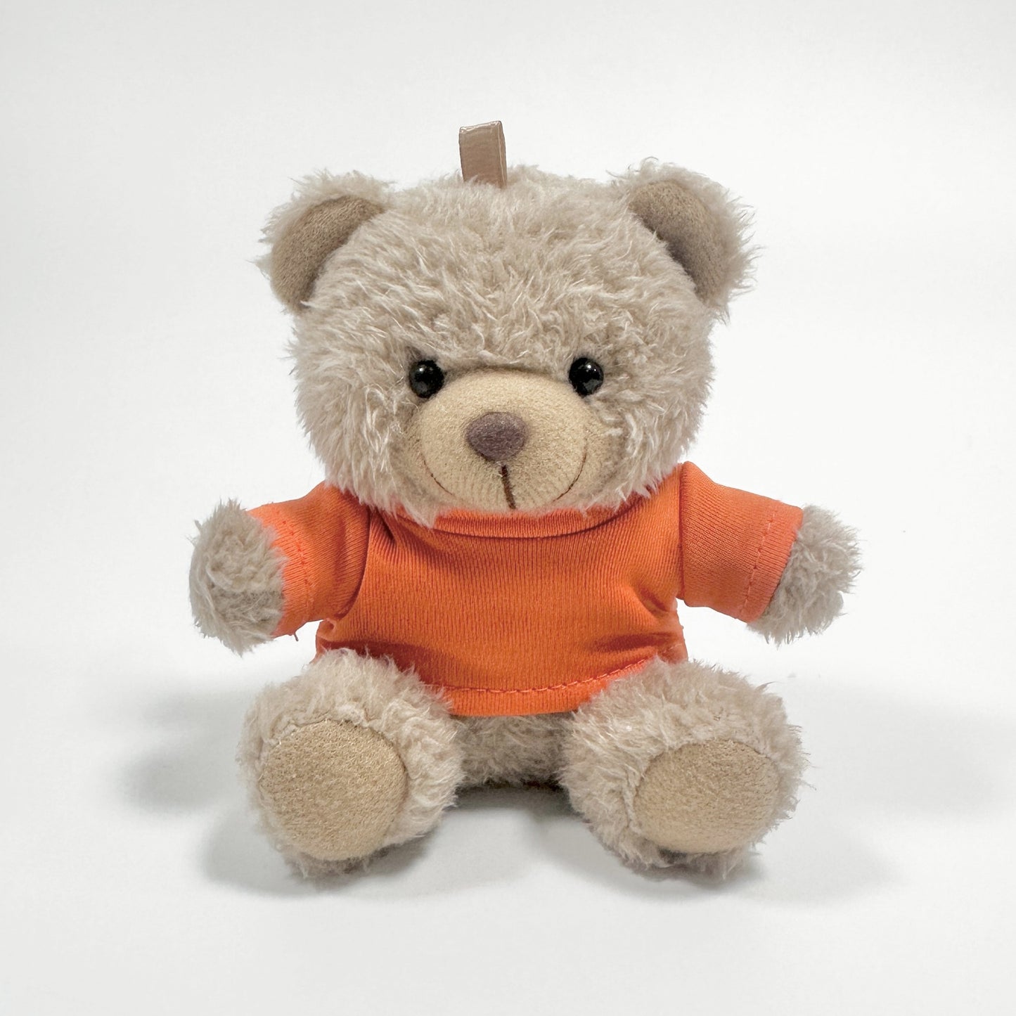 Tiny Teddy Charm