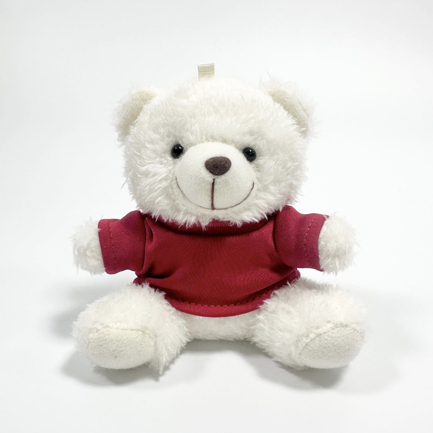 Tiny Teddy Charm